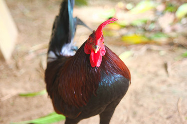 Similar image 454054