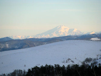 Similar image 454057