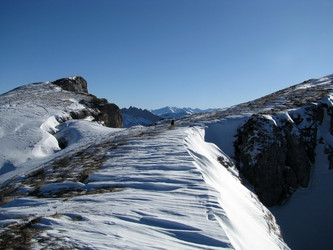 Similar image 454059