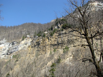 Similar image 454063