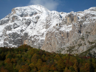 Similar image 454065