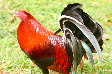 Similar image 454073