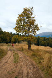 Similar image 454092