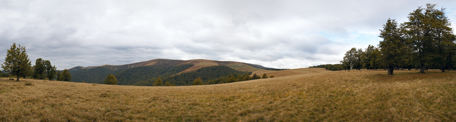 Similar image 454095