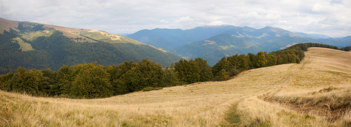 Similar image 454097