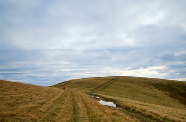 Similar image 454100