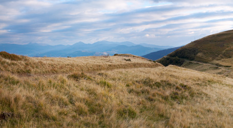 Similar image 454103