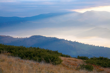 Similar image 454110