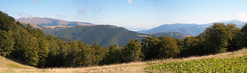 Similar image 454111