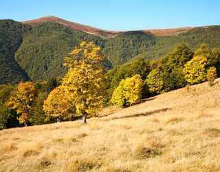 Similar image 454117