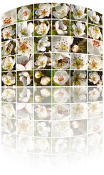 Similar image 454138