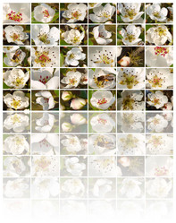 Similar image 454139