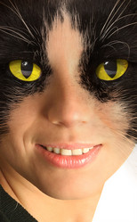 Similar image 454151