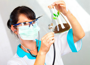 Similar image 454161