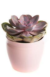 Similar image 454188