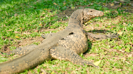 Similar image 454214