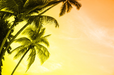 Similar image 454262