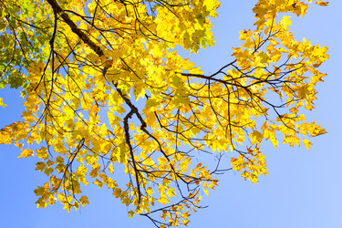 Similar image 454302