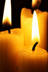 Similar image 454312