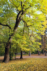 Similar image 454324