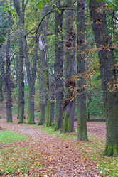 Similar image 454338