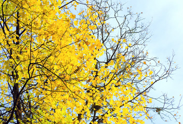 Similar image 454348