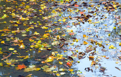 Similar image 454378