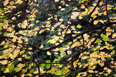 Similar image 454384