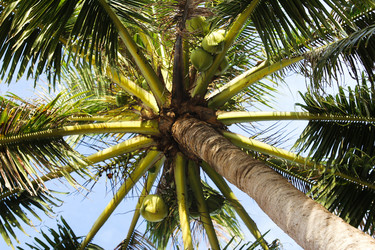 Similar image 454391