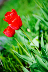 Similar image 454394