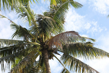 Similar image 454406