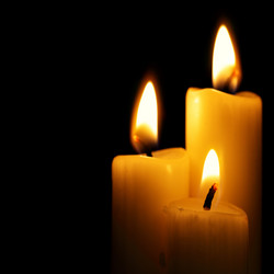 Similar image 454409