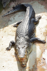 Similar image 454427