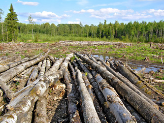 Similar image 454467