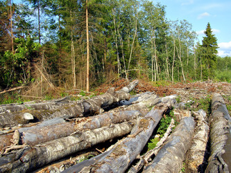 Similar image 454468