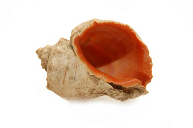 Similar image 454506