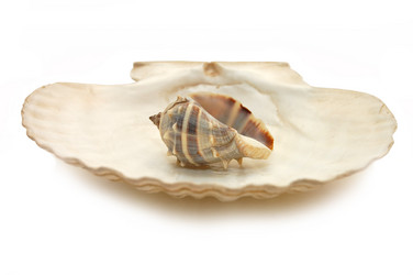 Similar image 454511