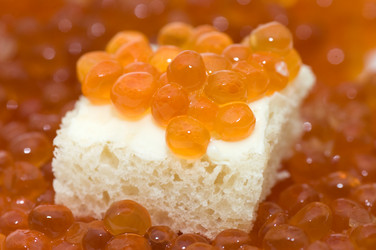 Similar image 454512