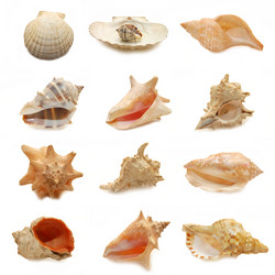 Similar image 454515