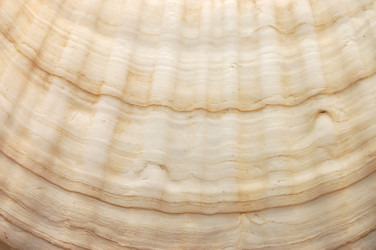 Similar image 454517