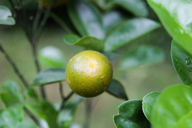 Similar image 454522