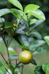 Similar image 454524