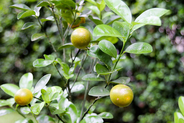 Similar image 454547