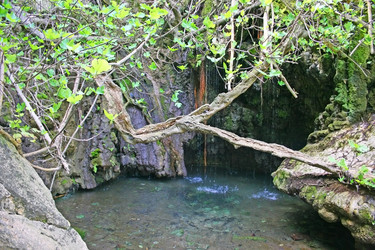 Similar image 454580