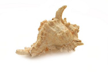 Similar image 454600