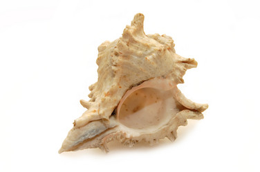 Similar image 454601