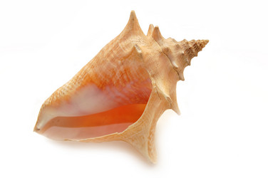 Similar image 454602