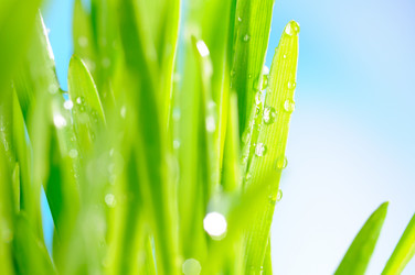 Similar image 454604