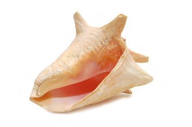 Similar image 454605