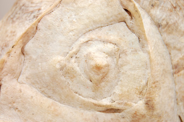 Similar image 454609